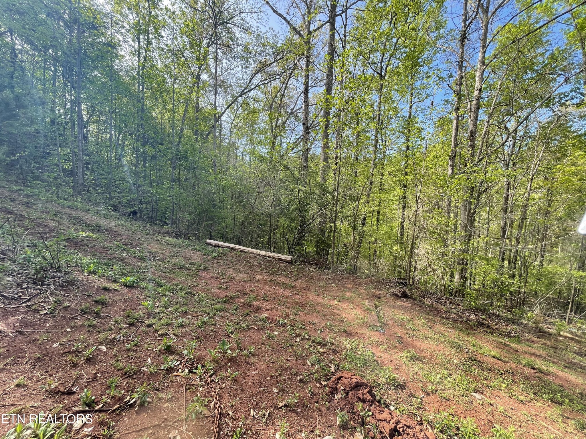 494 Anderson Road Sweetwater, TN 37874 - Photo 48 of 59 Gallery Image 48