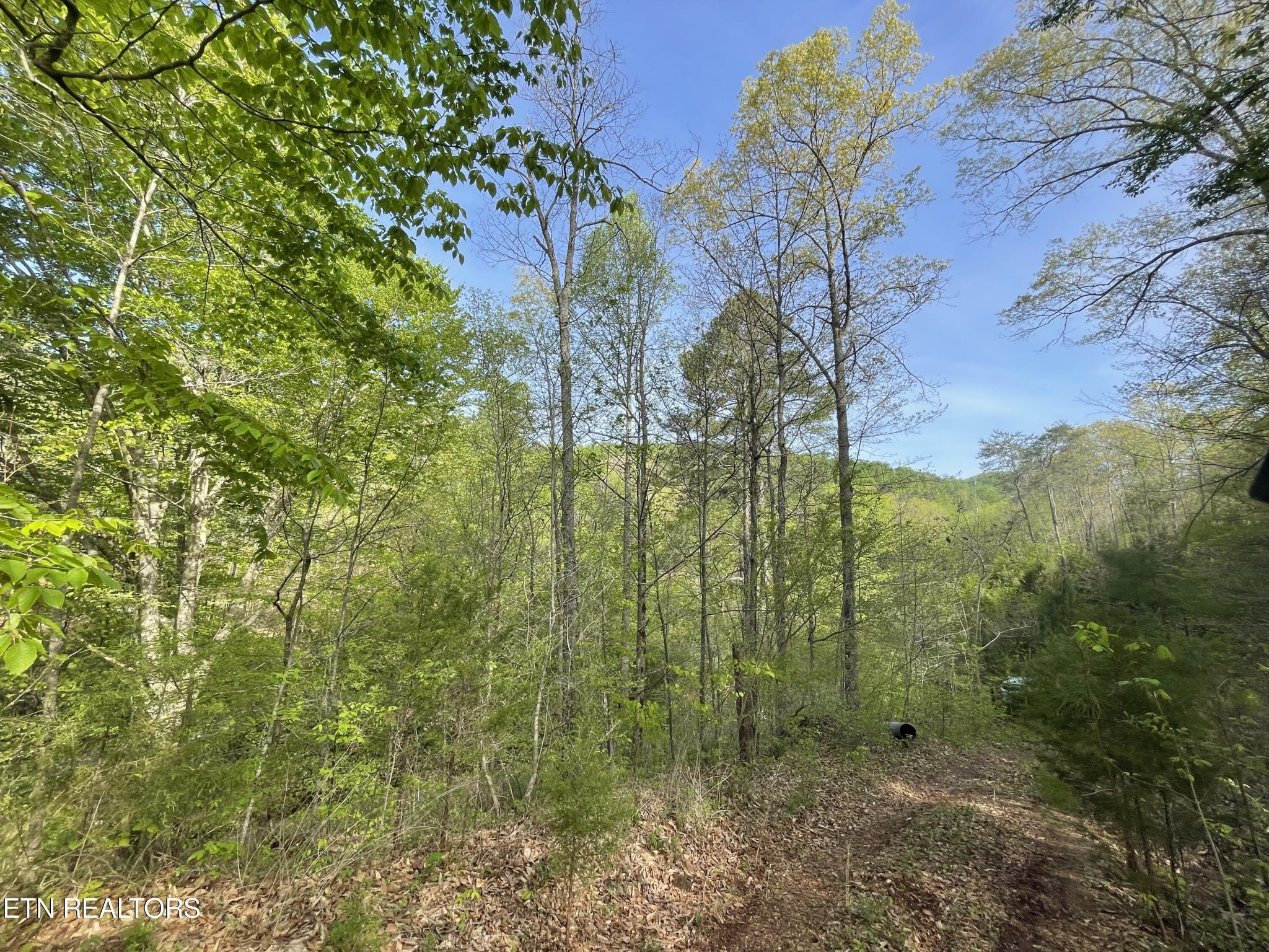 494 Anderson Road Sweetwater, TN 37874 - Photo 50 of 59 Gallery Image 50
