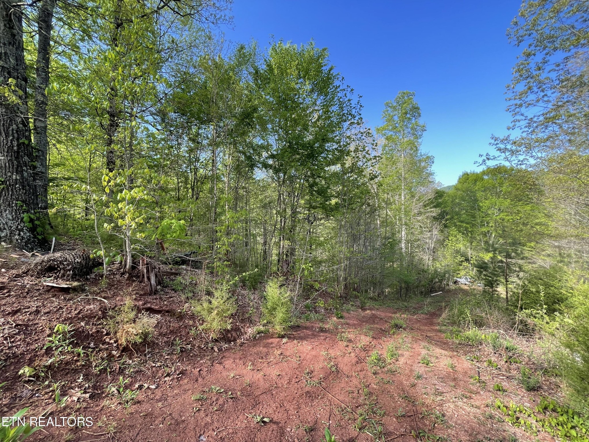 494 Anderson Road Sweetwater, TN 37874 - Photo 5 of 59 Gallery Image 5