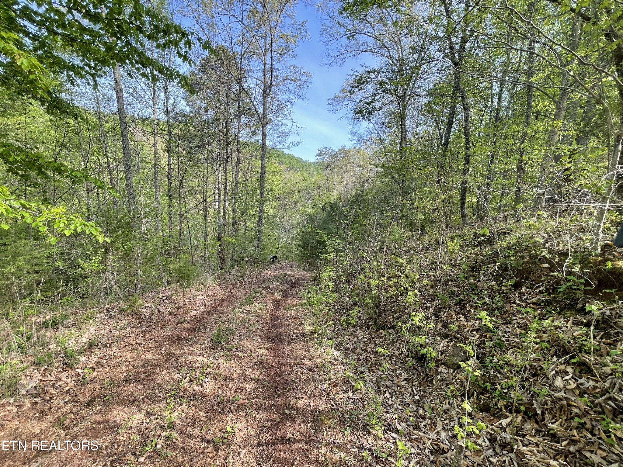 494 Anderson Road Sweetwater, TN 37874 - Photo 52 of 59 Gallery Image 52