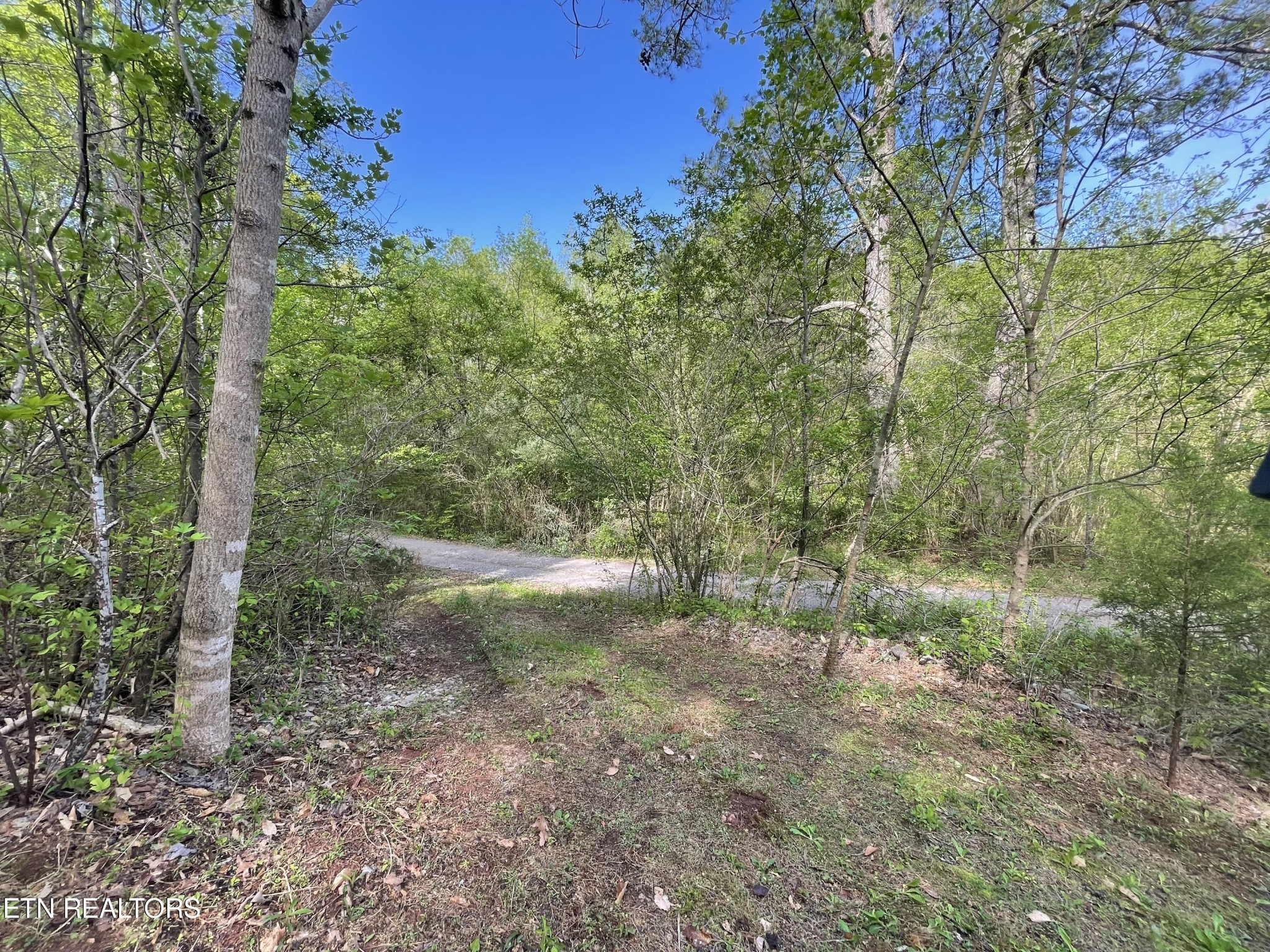 494 Anderson Road Sweetwater, TN 37874 - Photo 54 of 59 Gallery Image 54