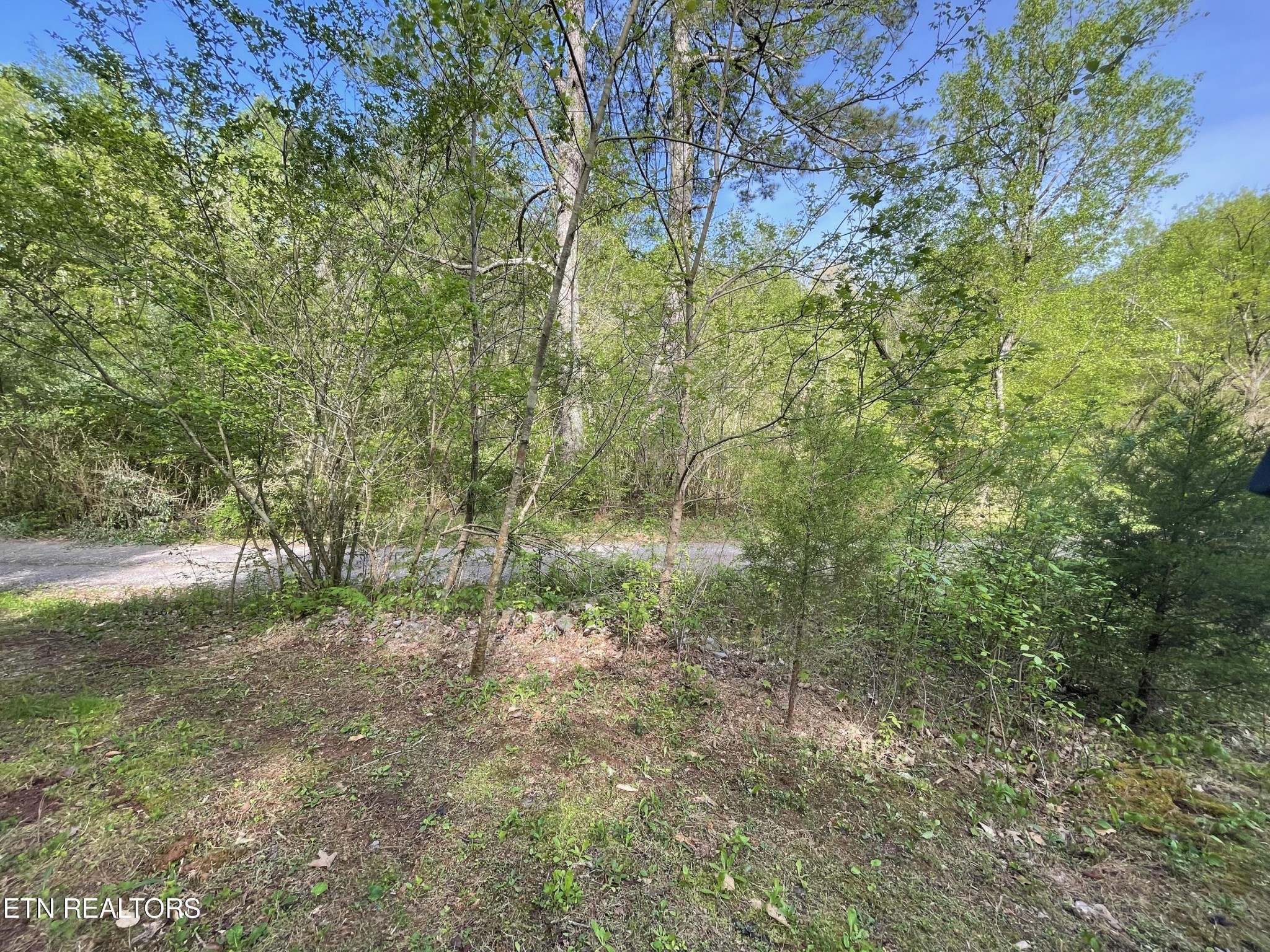 494 Anderson Road Sweetwater, TN 37874 - Photo 55 of 59 Gallery Image 55