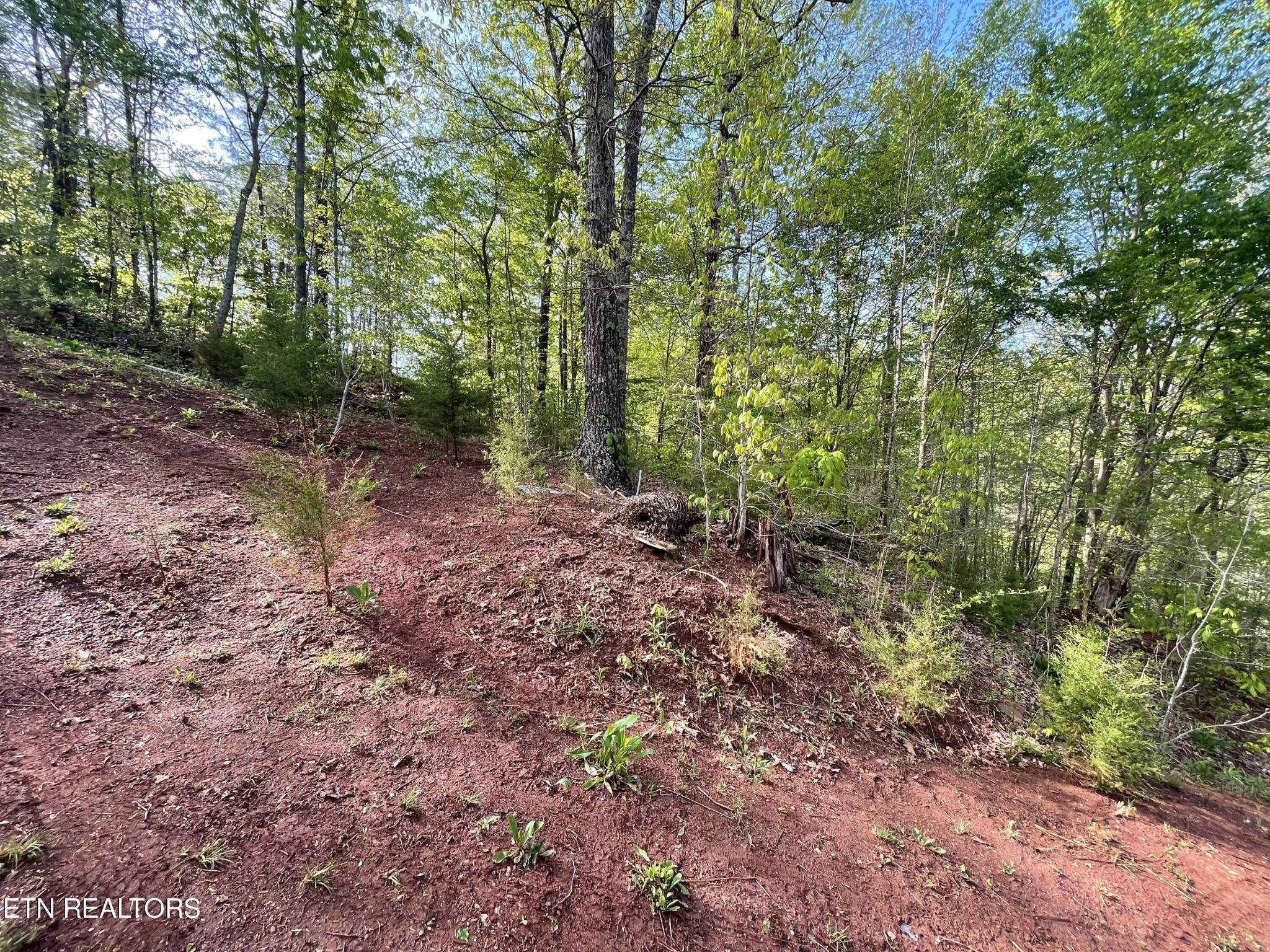 494 Anderson Road Sweetwater, TN 37874 - Photo 6 of 59 Gallery Image 6