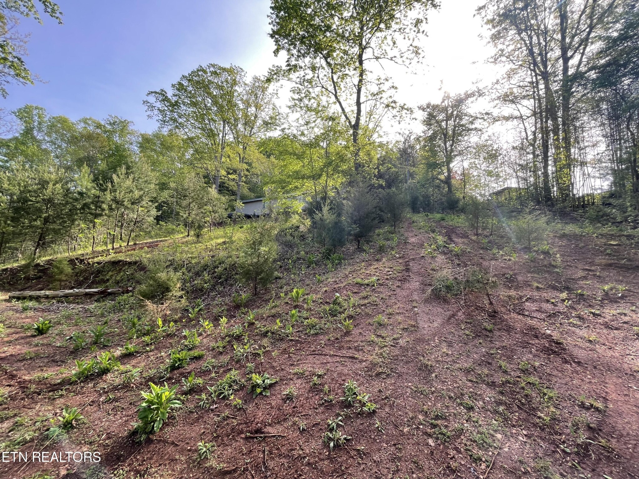 494 Anderson Road Sweetwater, TN 37874 - Photo 8 of 59 Gallery Image 8