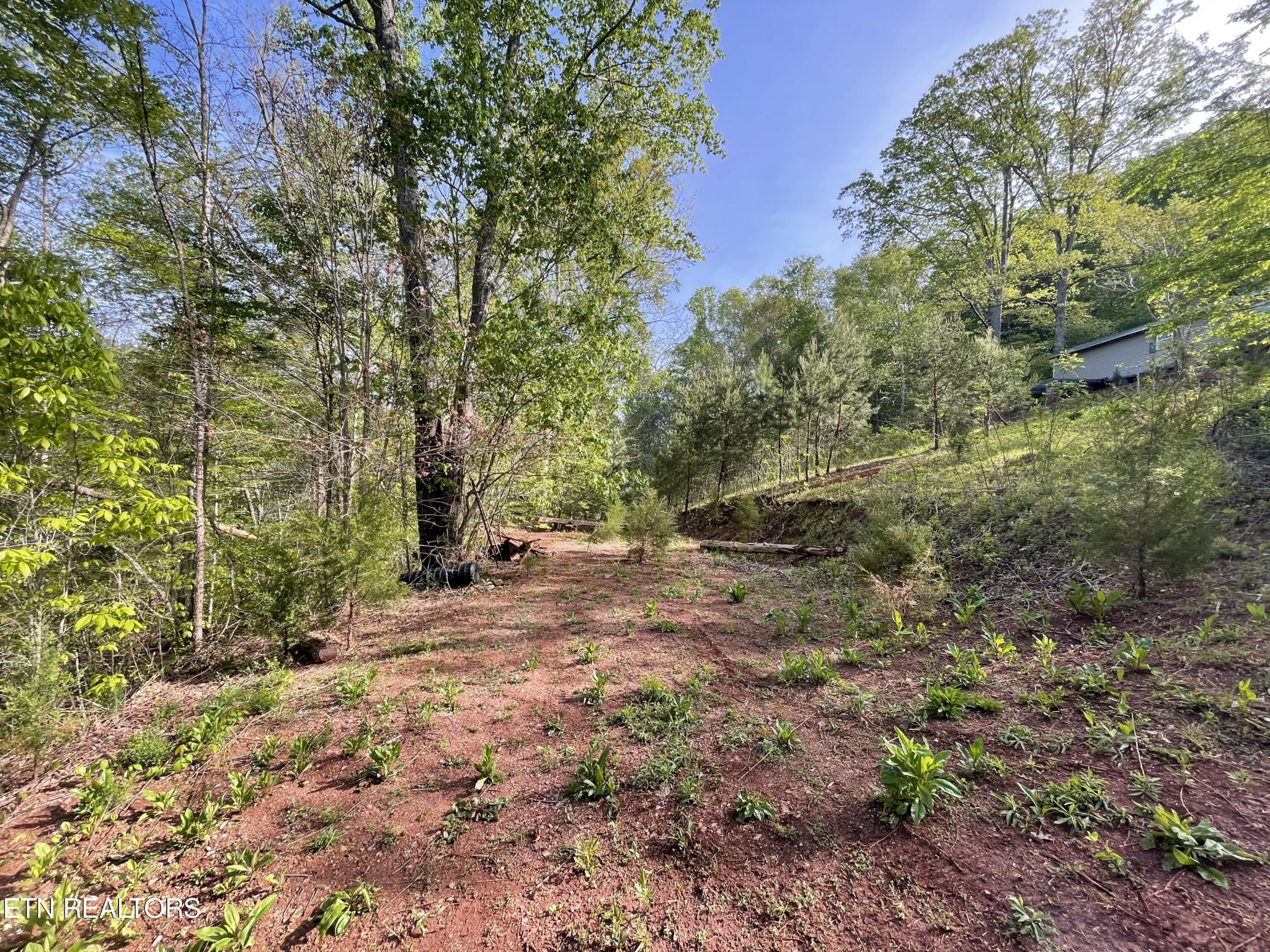494 Anderson Road Sweetwater, TN 37874 - Photo 9 of 59 Gallery Image 9