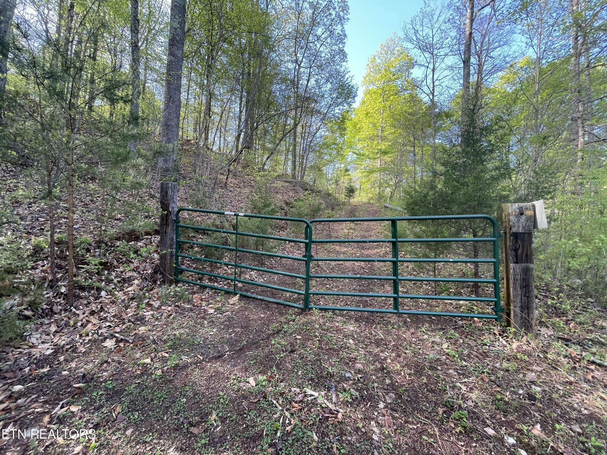 494 Anderson Road Sweetwater, TN 37874 - Photo 10 of 59 Gallery Image 10