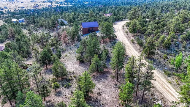 a view of a forest with a forest