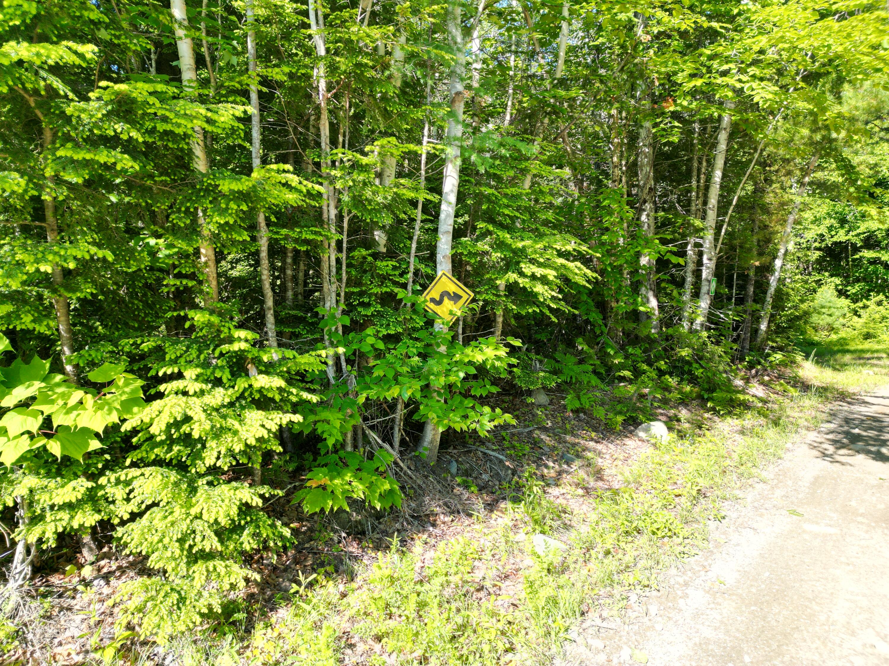 Lot 1 Dirty Glove Road Springfield, ME 04487 - Photo 18 of 21 DJI_0773
