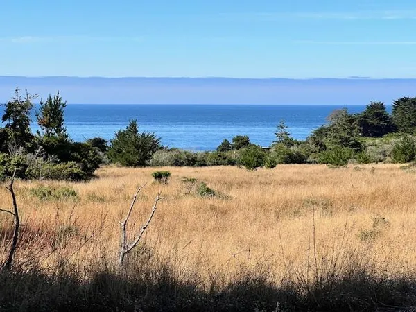 a view of beach and ocean