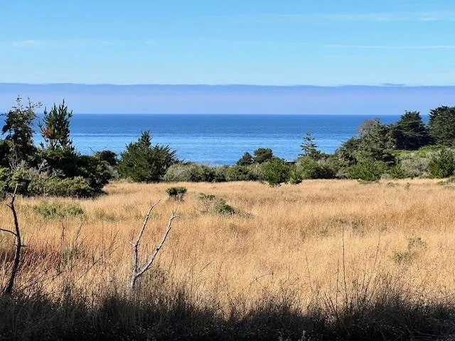 a view of beach and ocean