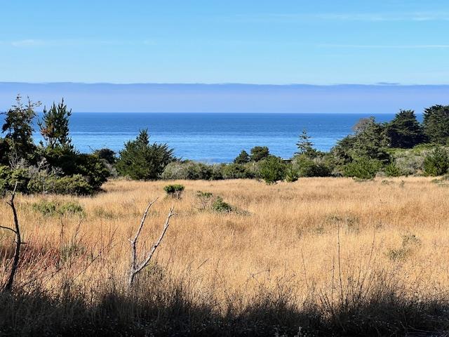 a view of beach and ocean