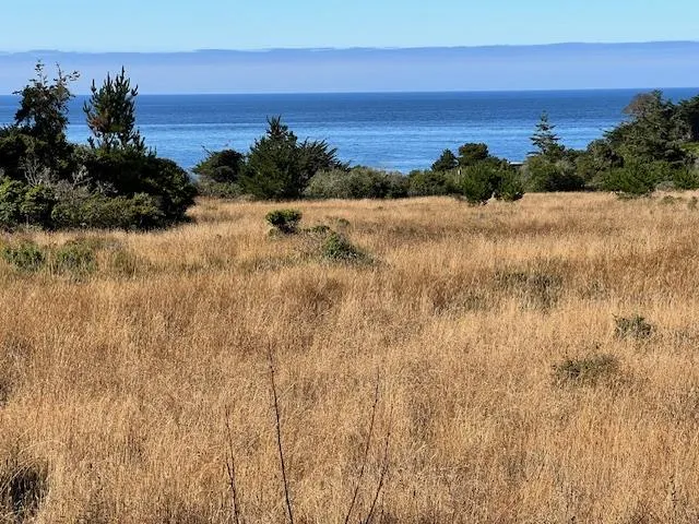 a view of lake with mountain in the background