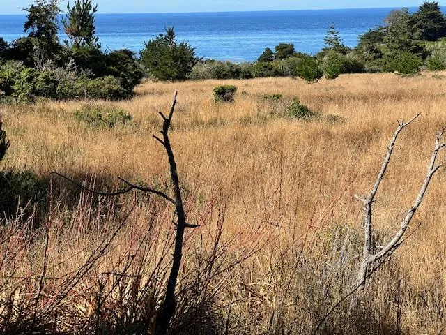 a view of mountain view with lake