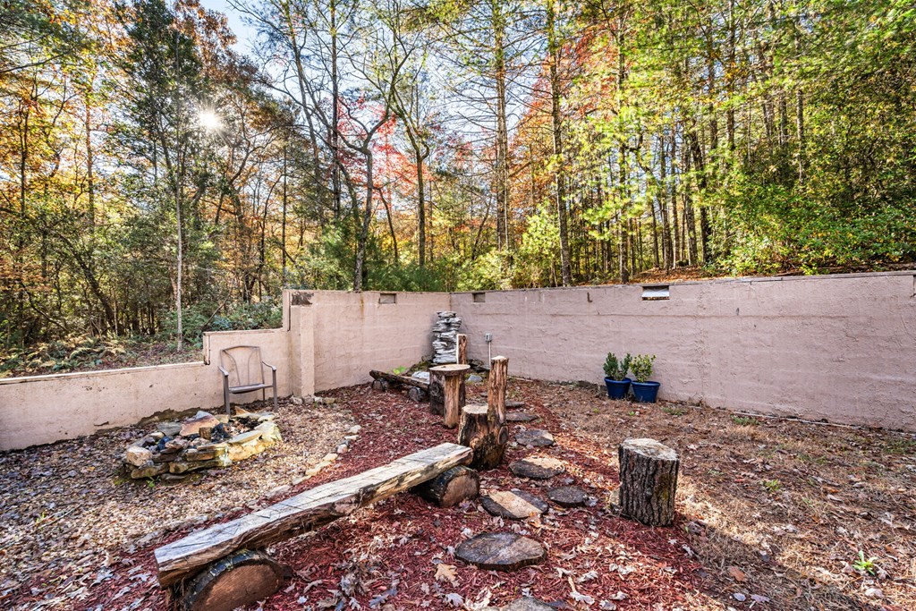 700 Dickey Road Murphy, NC 28906 - Photo 15 of 20