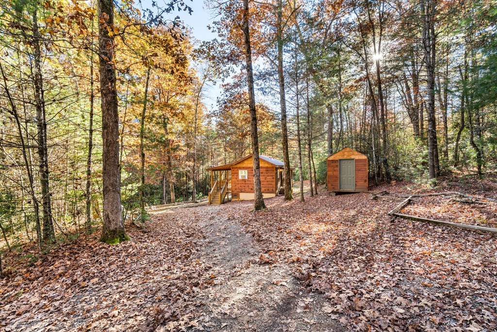 700 Dickey Road Murphy, NC 28906 - Photo 18 of 20