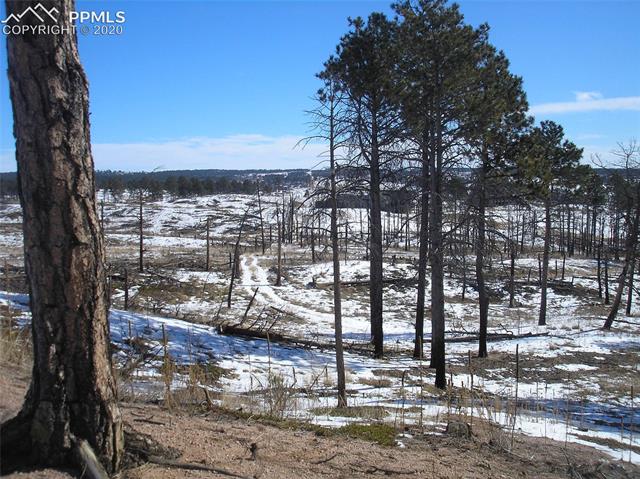 12975 Holmes Road Colorado Springs, CO 80908 - Photo 8 of 10