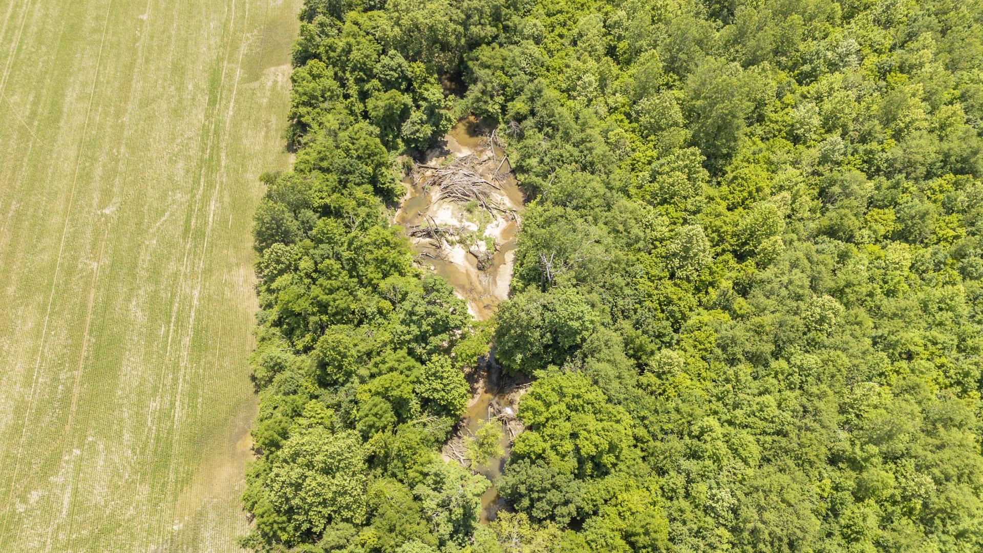 904 Capooth Road Ramer, TN 38367 - Photo 7 of 40