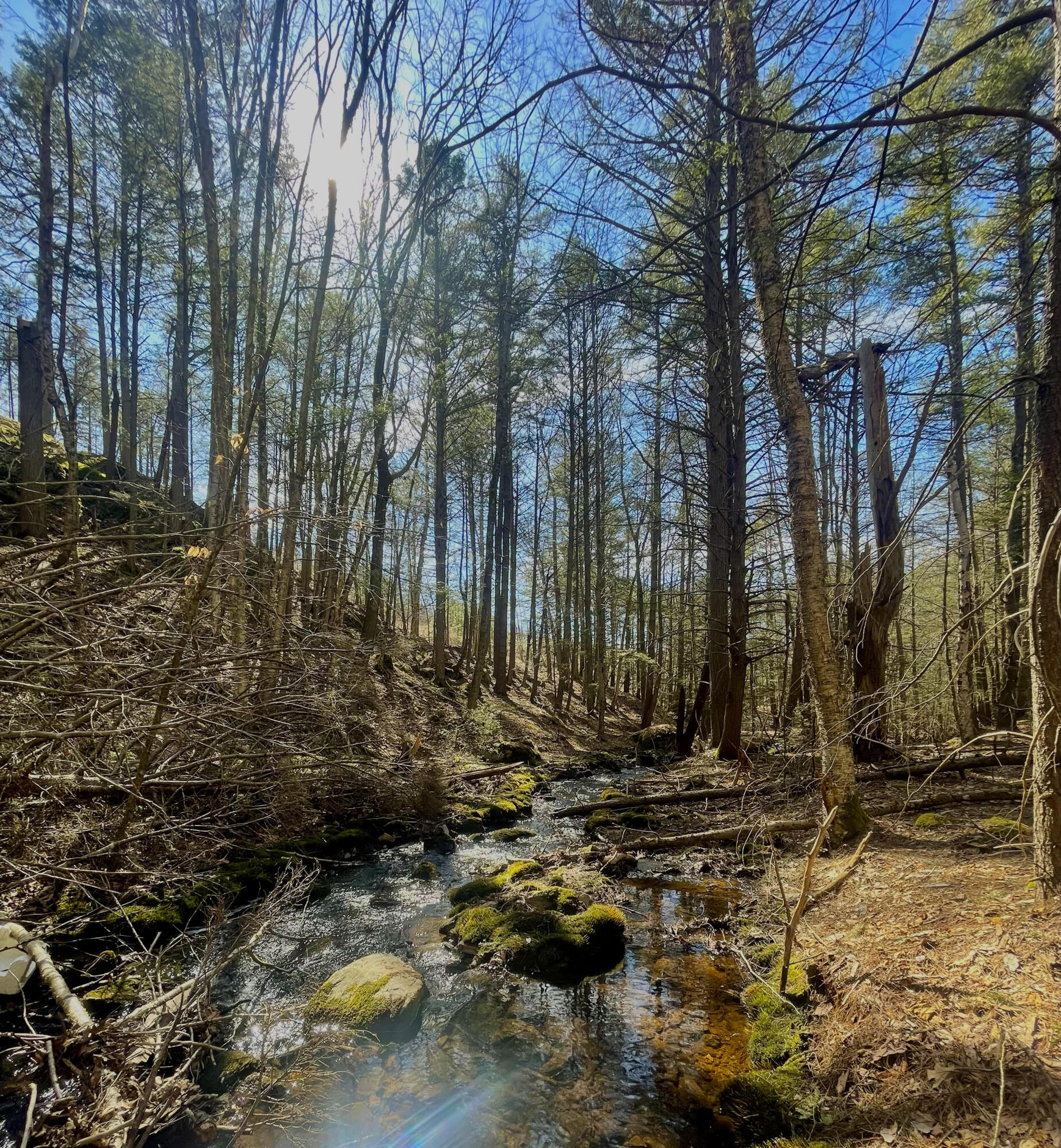 7 Sandy Brook Road West Bath, ME 04530 - Photo 1 of 1 unnamed