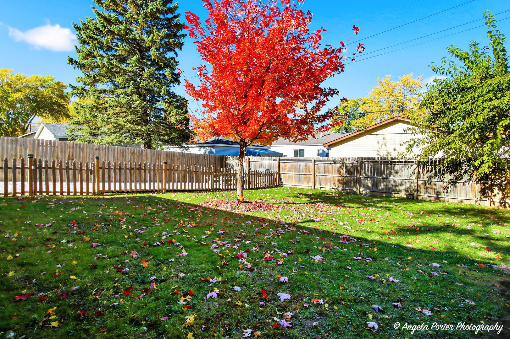 1612 Whitney Street Waukegan, IL 60087 - Photo 18 of 20 a view of a house with a big yard