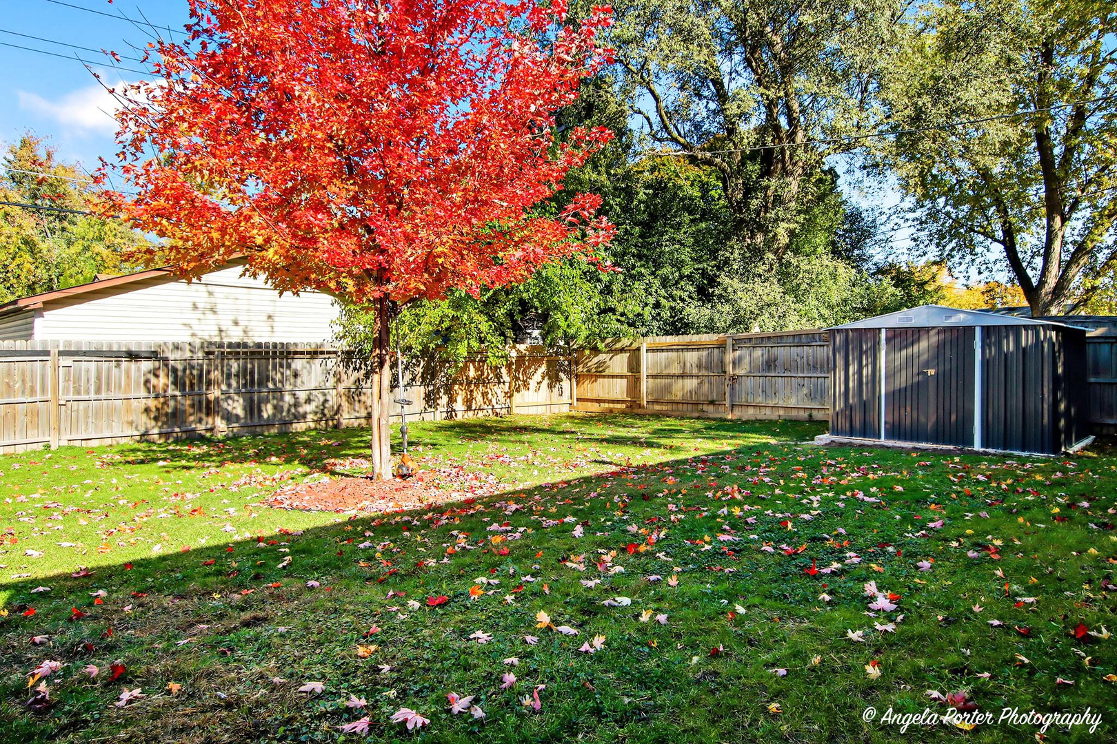 1612 Whitney Street Waukegan, IL 60087 - Photo 20 of 20 a view of a backyard with large trees