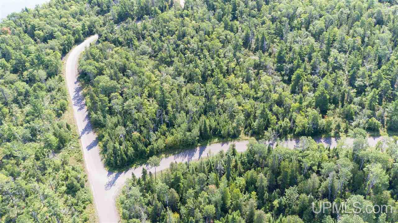 44 North Coast Road Copper Harbor, MI 49918 - Photo 3 of 10