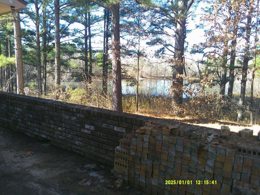 3726 County Road 4284 Simms, TX 75574 - Photo 31 of 31