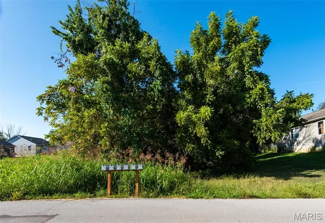 $60,000 | 34-35 Missouri Avenue, Pacific, MO 63069