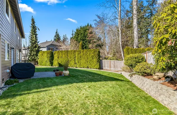a view of a backyard with potted plants and large tree