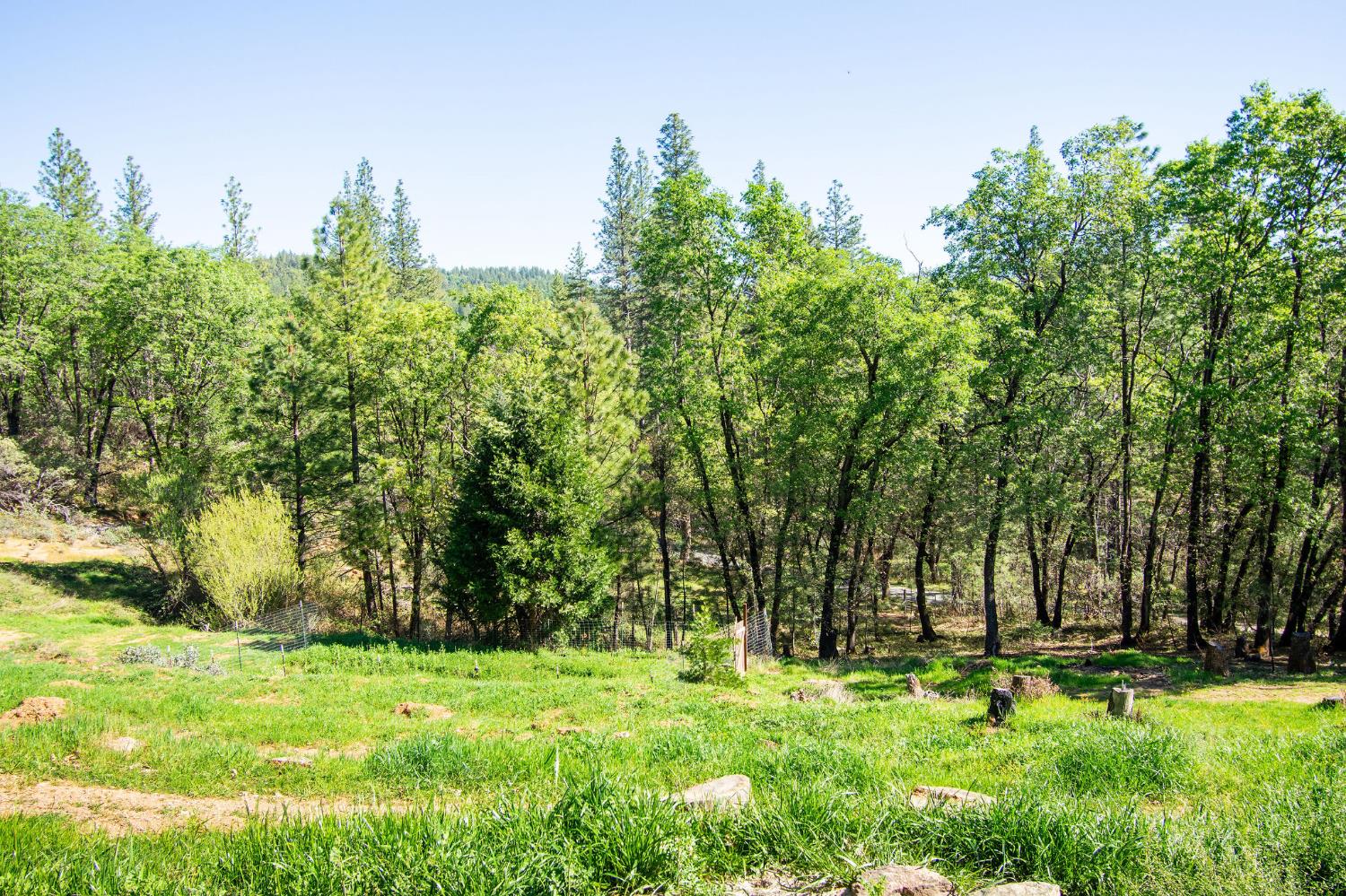 975 Dusty Road Colfax, CA 95713 - Photo 22 of 31