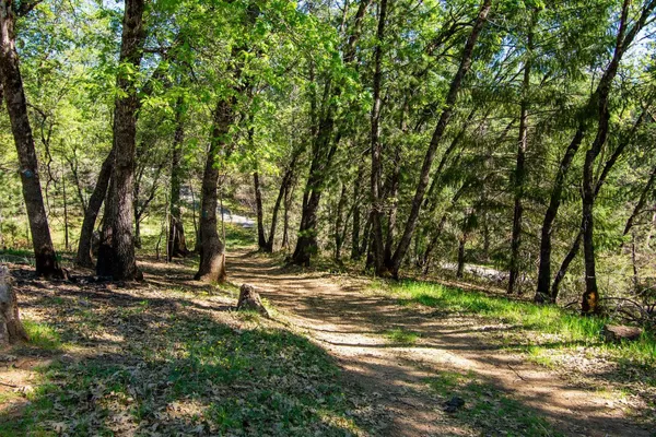 a view of outdoor space with trees all around