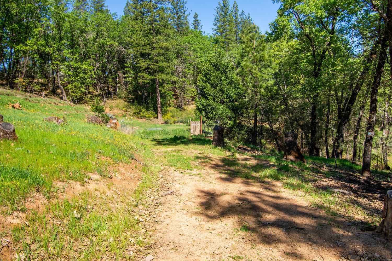 975 Dusty Road Colfax, CA 95713 - Photo 27 of 31