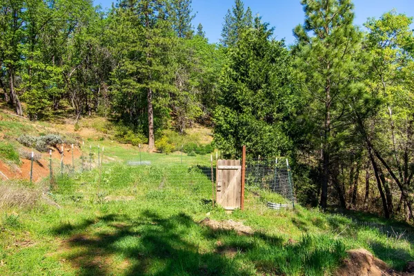 a view of a tree with a yard
