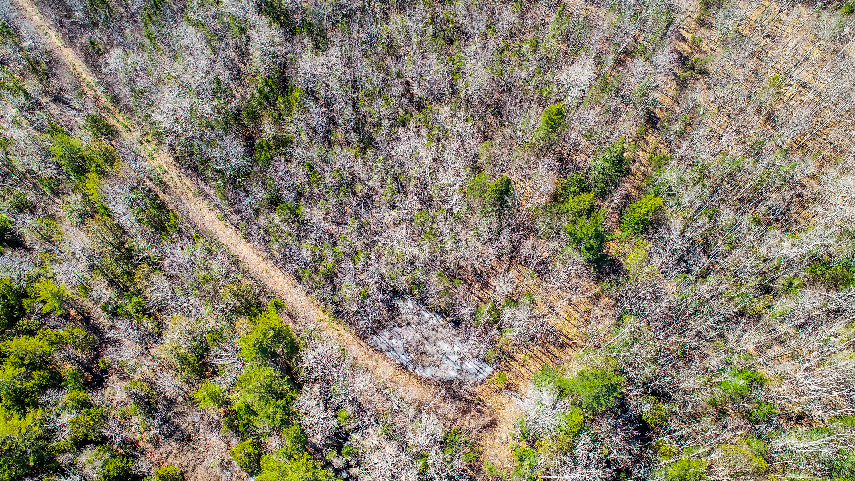 Lot 21 Belfast Road Northport, ME 04849 - Photo 7 of 23 Belfast Rd.-2