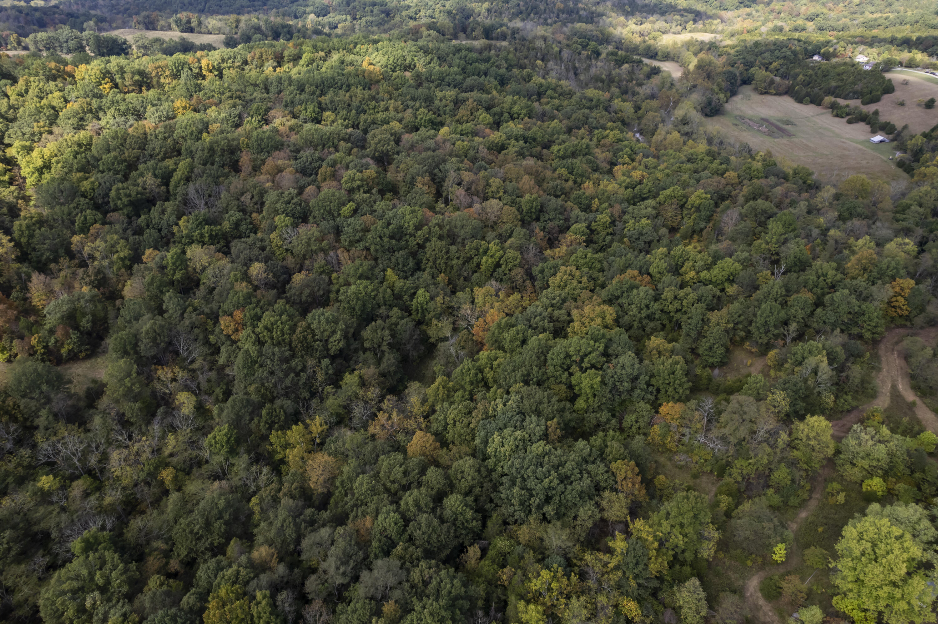 77-ac Clarks Crk Road Dry Ridge, KY 41035 - Photo 21 of 31