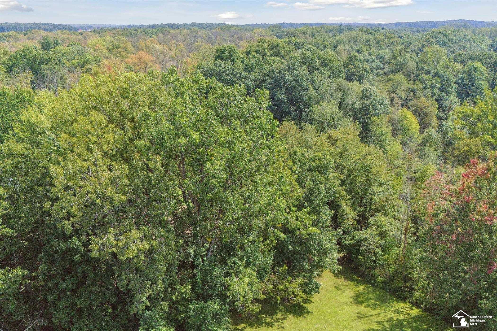9071 West Coon Lake Road Gregory, MI 48137 - Photo 55 of 56 50153678-1ae120ed-0fa1-4dd3-8173-30d1ad3f75e8.JPG