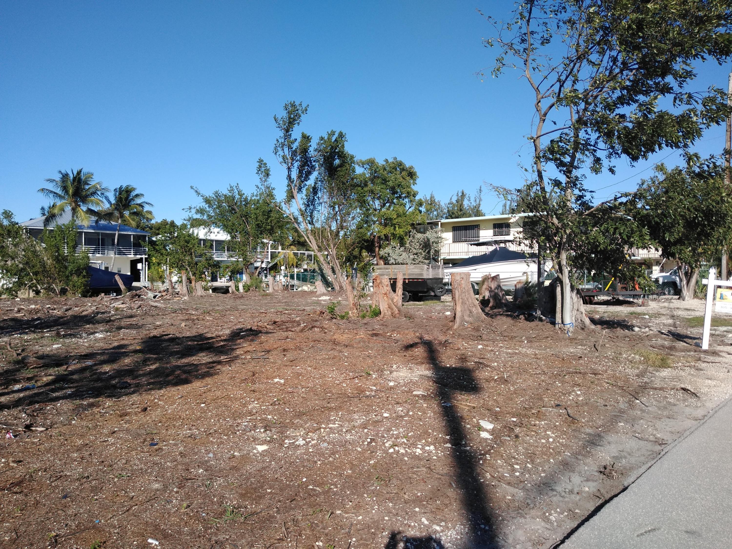 121 Lake Road Tavernier, FL 33070 - Photo 2 of 4 IMG_20200122_154744109