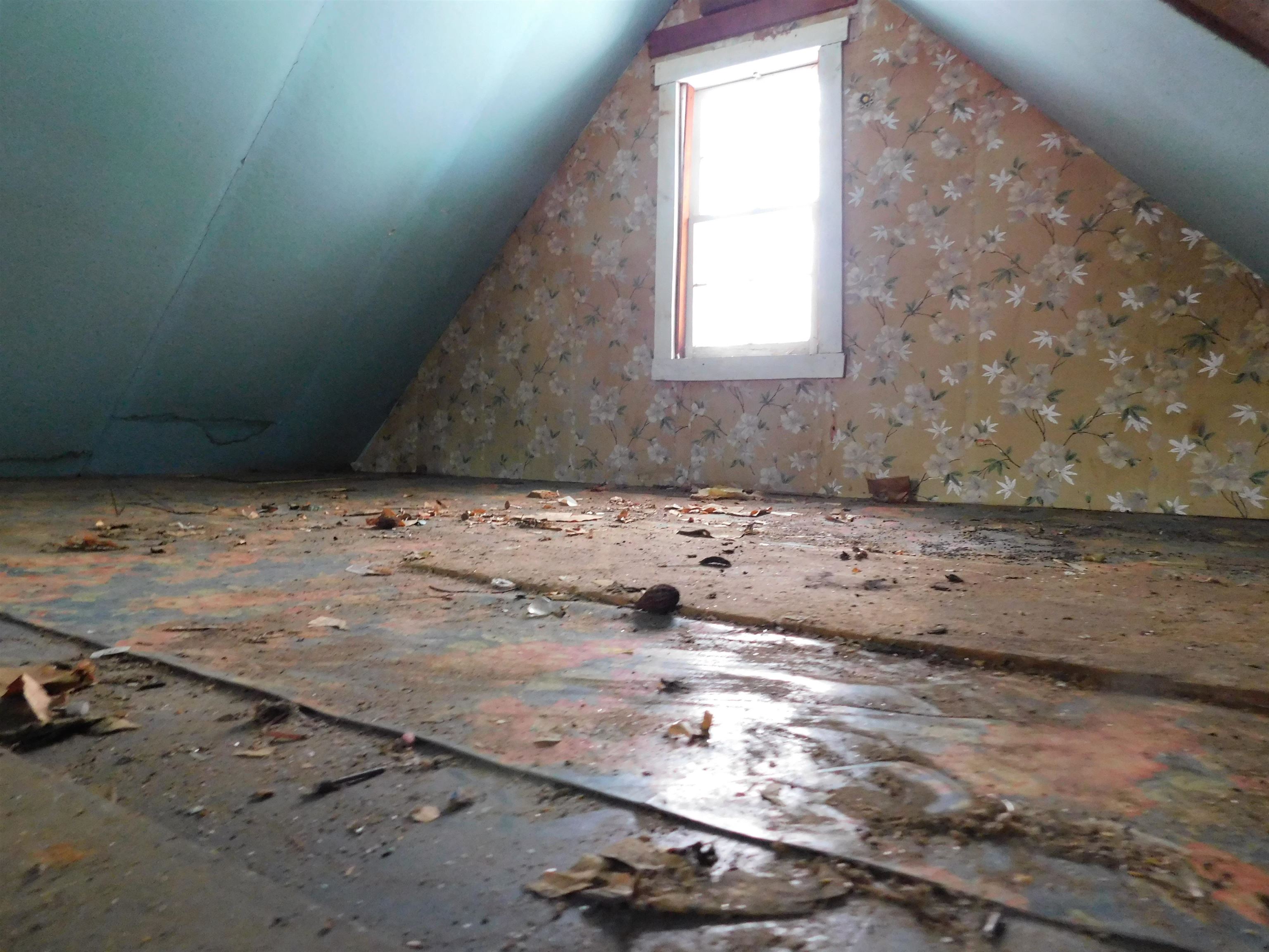 64 County Road Springfield, VT 05150 - Photo 11 of 13