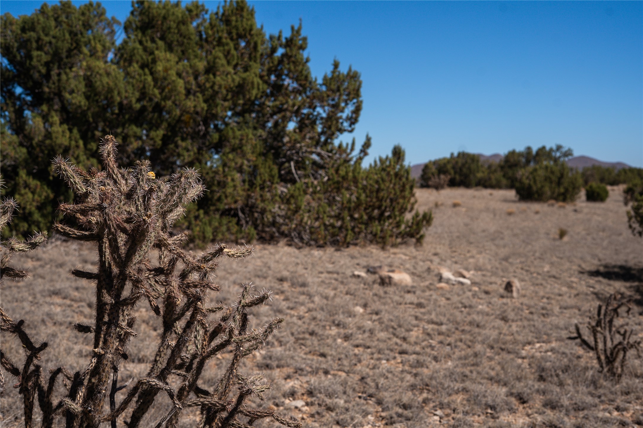 7 C Rancho De Shama, Unit B Cerrillos, NM 87010 - Photo 10 of 26