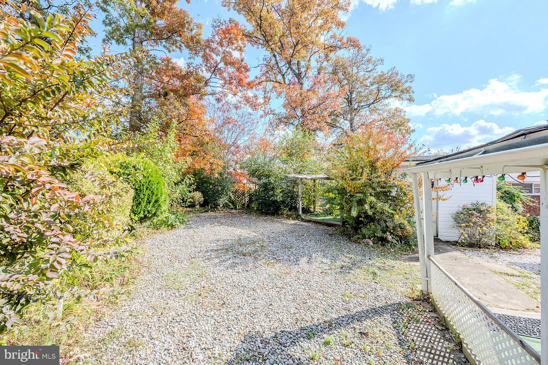1108 Chickasaw Drive Silver Spring, MD 20903 - Photo 27 of 30 a view of a street with potted plants and large trees