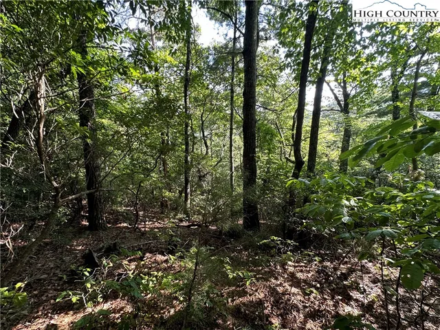 $84,500 | Lot 28 Cascade Run, Purlear, NC 28665