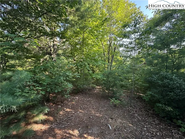 $84,500 | Lot 28 Cascade Run, Purlear, NC 28665