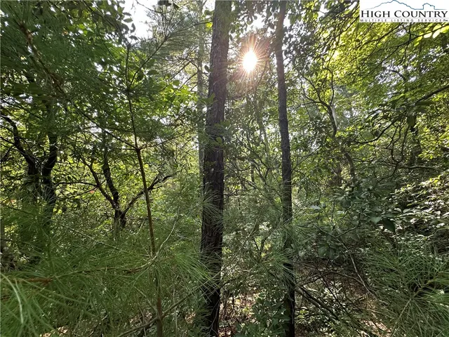 $84,500 | Lot 28 Cascade Run, Purlear, NC 28665