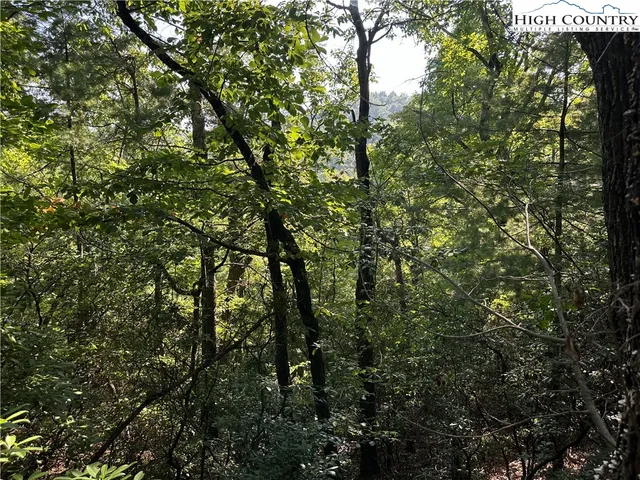$84,500 | Lot 28 Cascade Run, Purlear, NC 28665