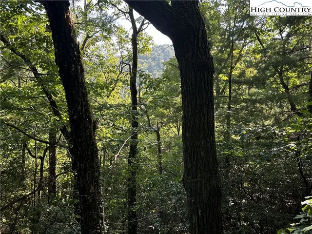 $84,500 | Lot 28 Cascade Run, Purlear, NC 28665