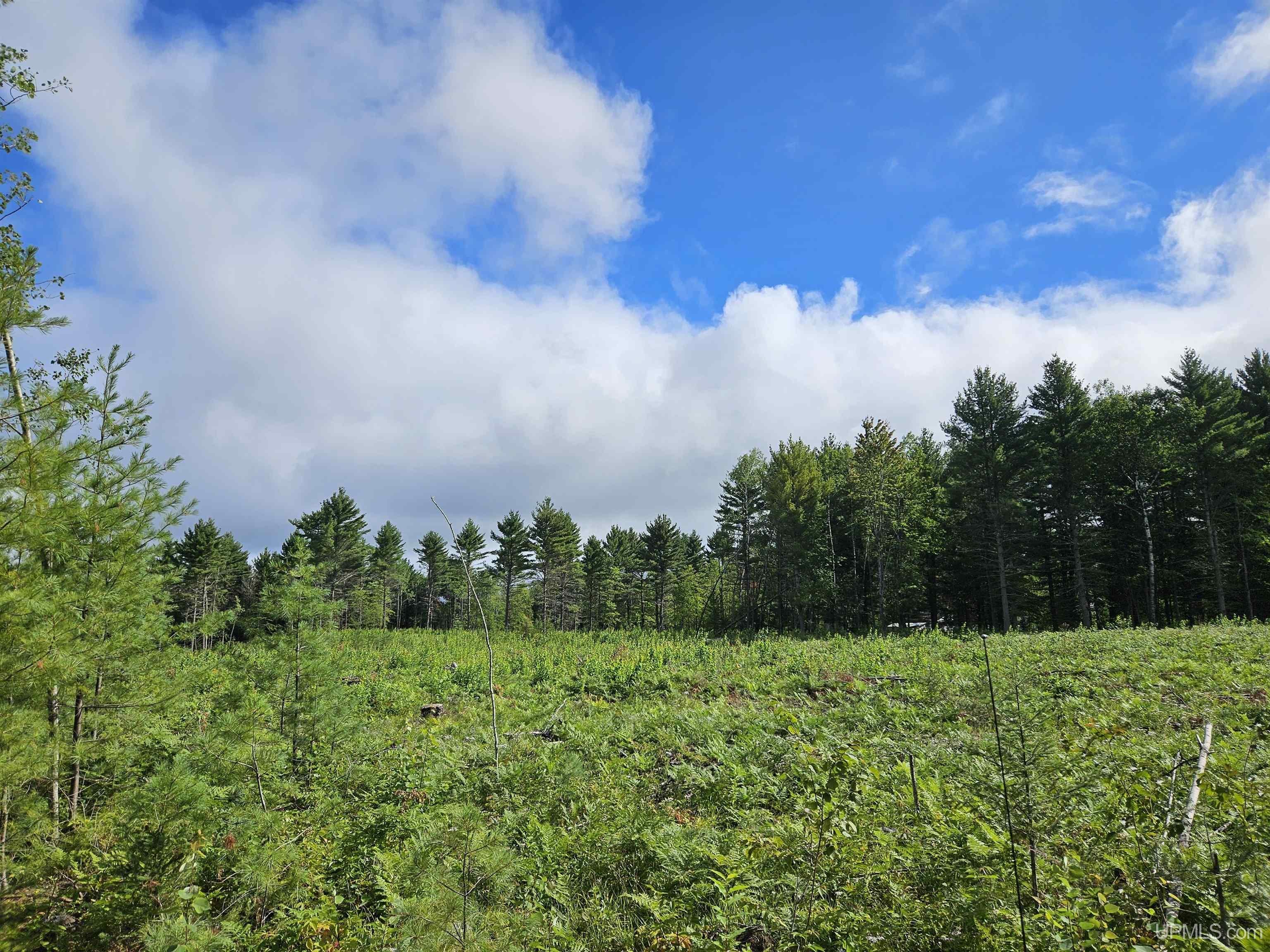 189 Oss Road Crystal Falls, MI 49920 - Photo 66 of 70 Gallery Image 66