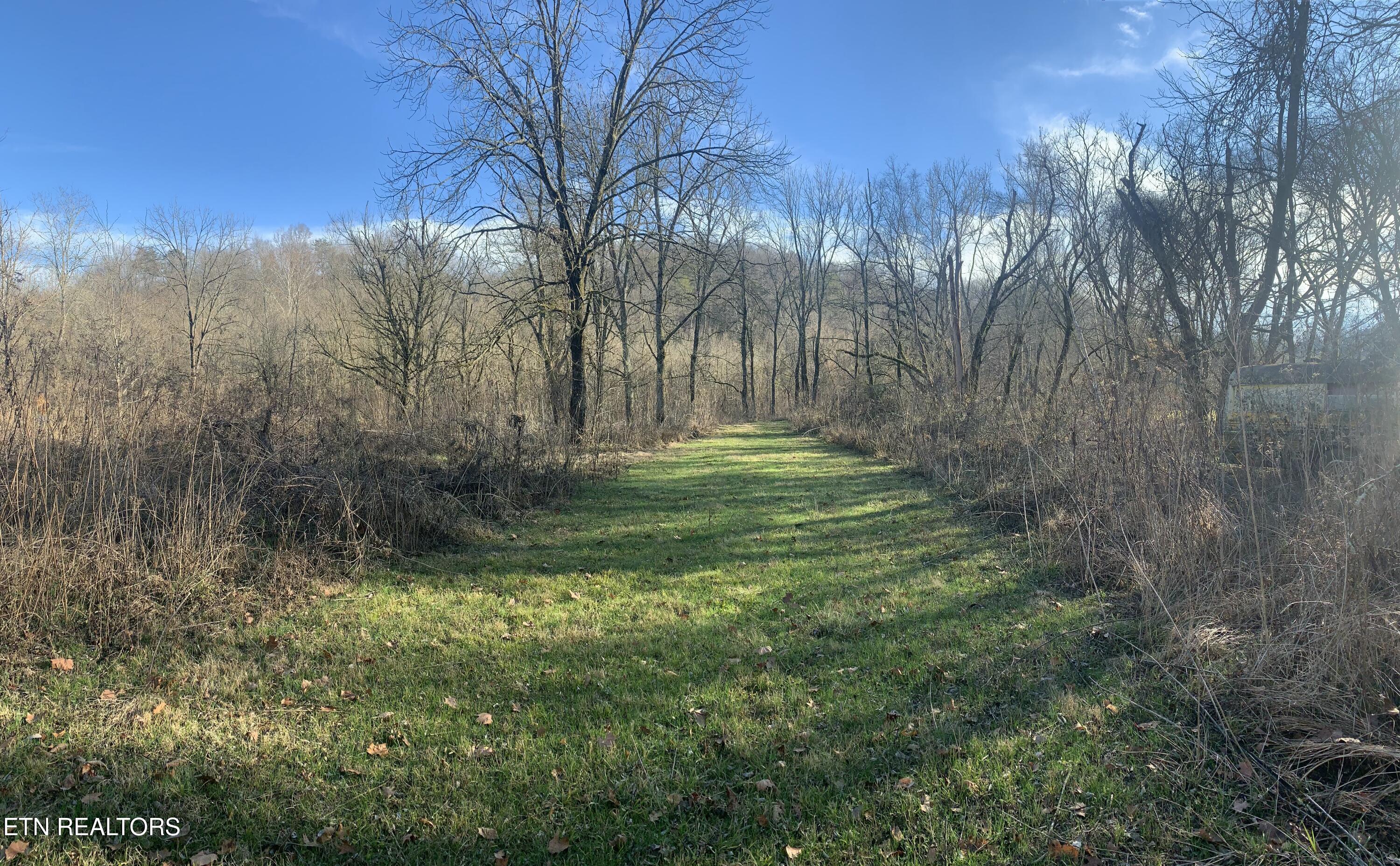 420 Winding Ridge Trail Seymour, TN 37865 - Photo 11 of 12 IMG_0826
