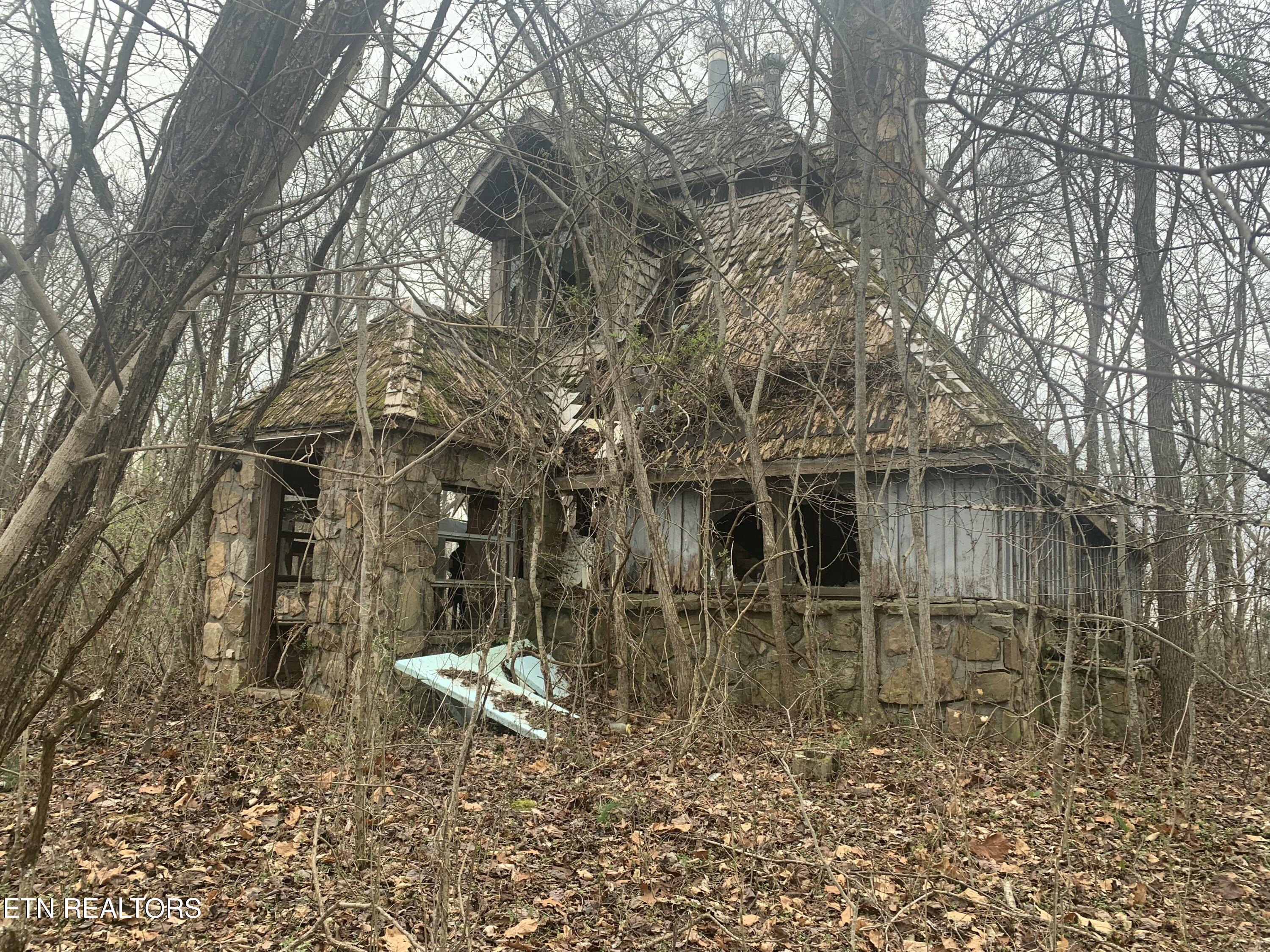 420 Winding Ridge Trail Seymour, TN 37865 - Photo 12 of 12 IMG_2028