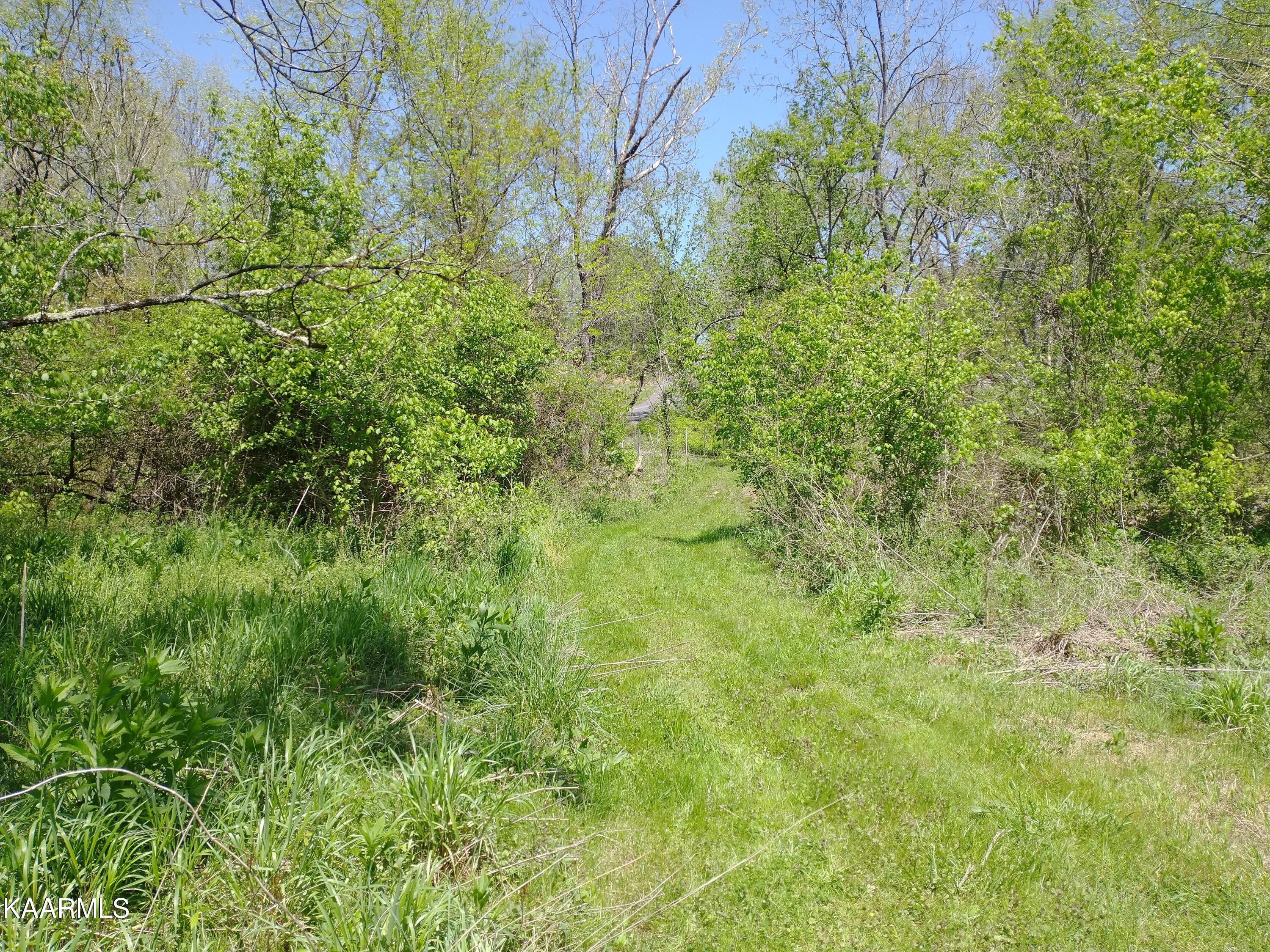 420 Winding Ridge Trail Seymour, TN 37865 - Photo 4 of 12 IMG_20230418_130603403