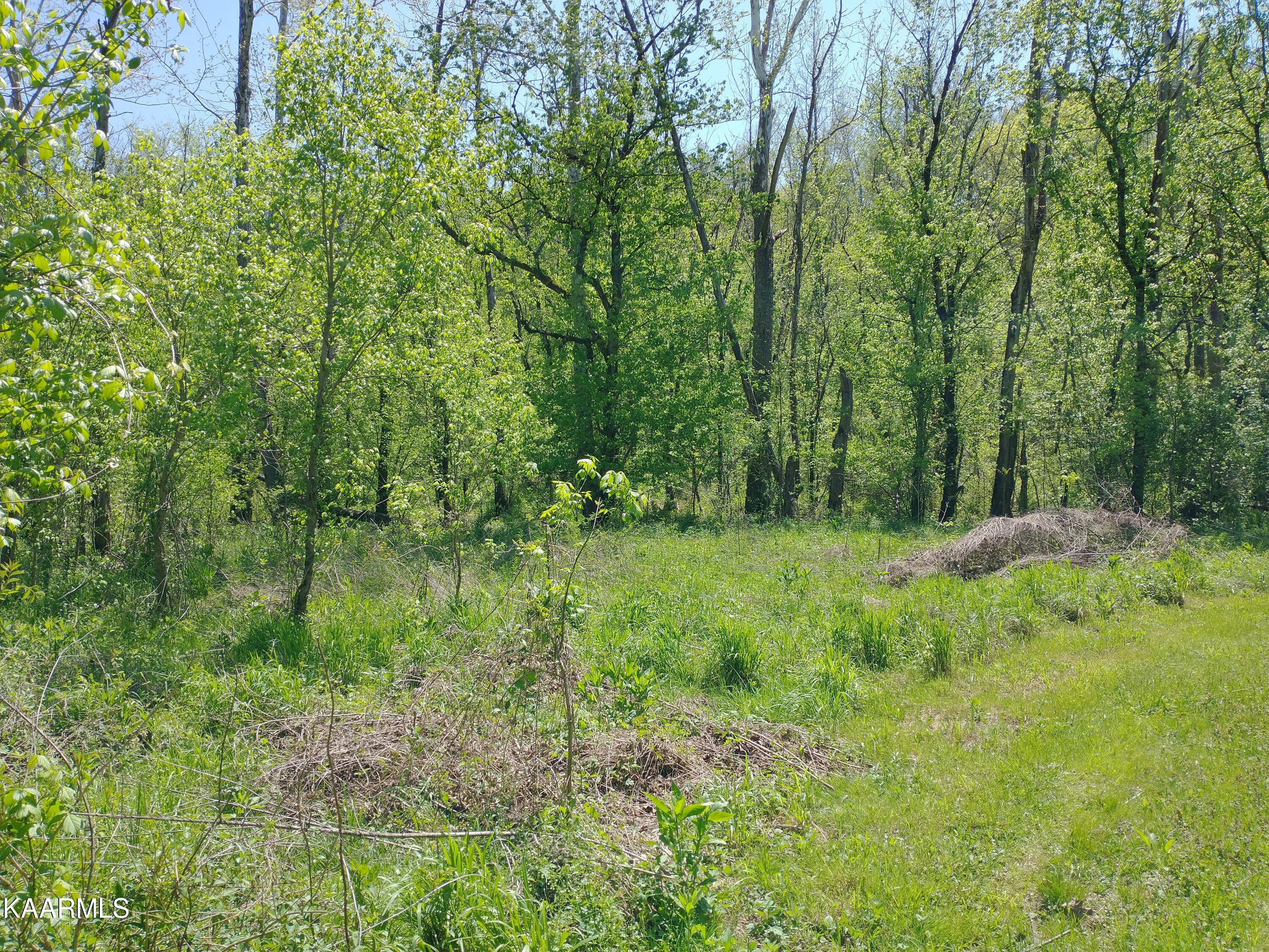 420 Winding Ridge Trail Seymour, TN 37865 - Photo 5 of 12 IMG_20230418_130542384