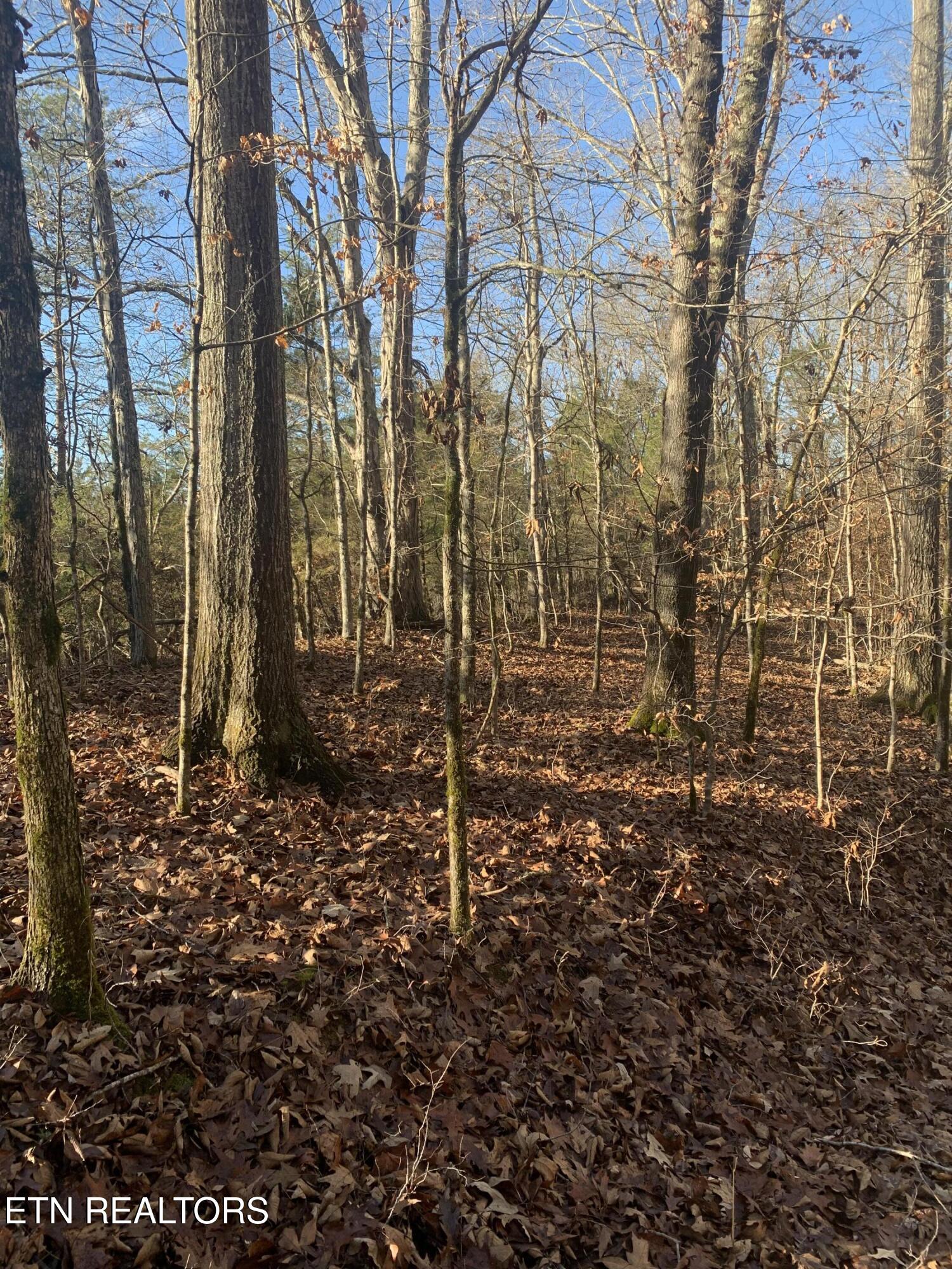 420 Winding Ridge Trail Seymour, TN 37865 - Photo 7 of 12 IMG_0813